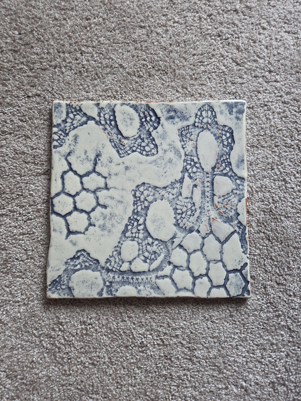 Anthropologie Blue and White Decorative Ceramic Tile